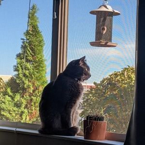 Meet your Posher, Chelsey